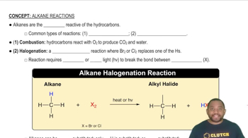 Common Types of Alkane Reactions