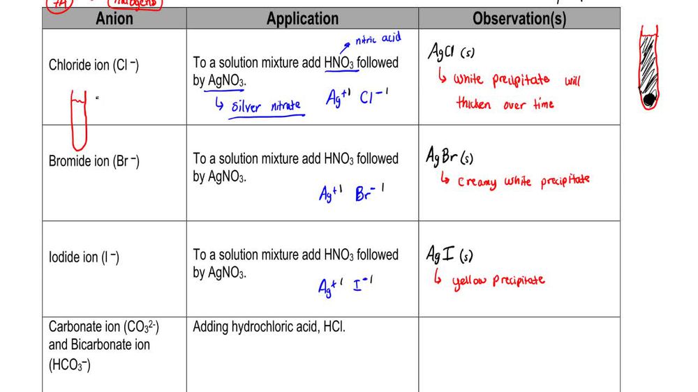 Test for Anions