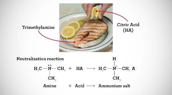 Reactions of Amines