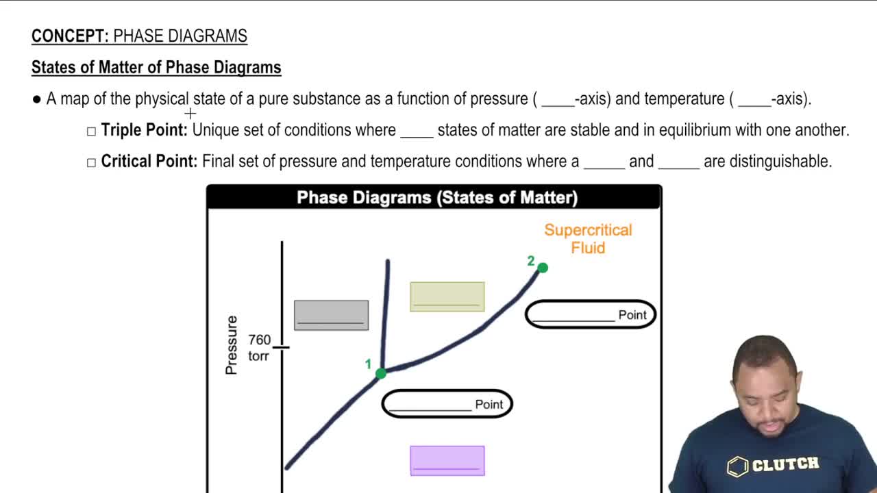 States of Matter of Phase Diagrams