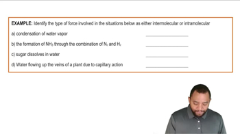 Intermolecular vs Intramolecular Example
