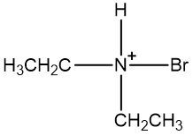 An ammonium ion