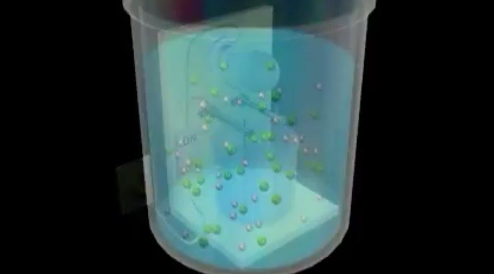 Evaluating Electrolytes and Nonelectrolytes