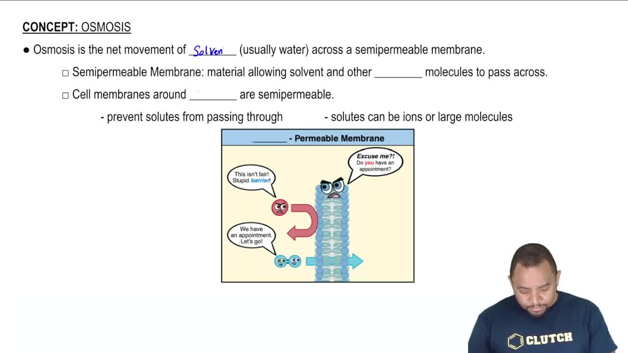 Osmosis and Semipermeable Membranes