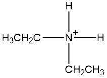 An ammonium ion
