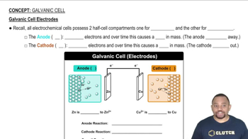 Galvanic Cell Electrodes