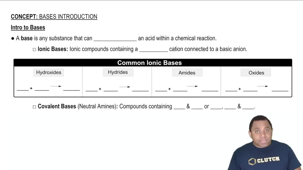 Bases and Their Types