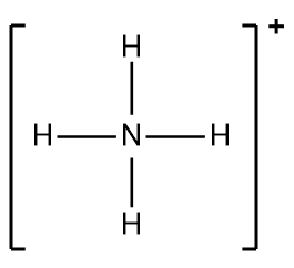 Lewis Dot Structure of NH4+ showing nitrogen with four hydrogen atoms and a positive charge.