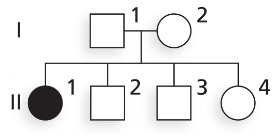 Pedigree chart showing a family with one child affected by an autosomal recessive condition.