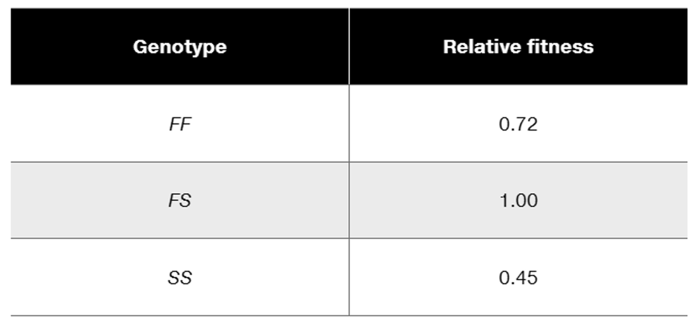 Table showing genotypes FF, FS, SS and their relative fitness values: 0.72, 1.00, and 0.45 respectively.
