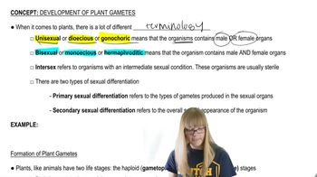 Plant Gamete Terminology