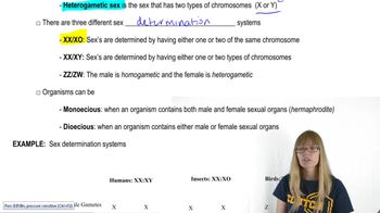 Sex Determination
