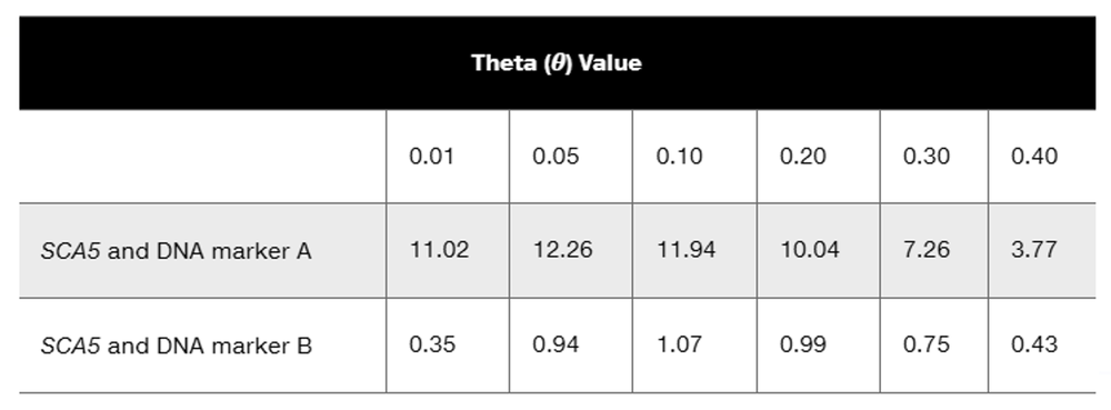 Lod score data table comparing theta values for SCA5 with DNA markers A and B.