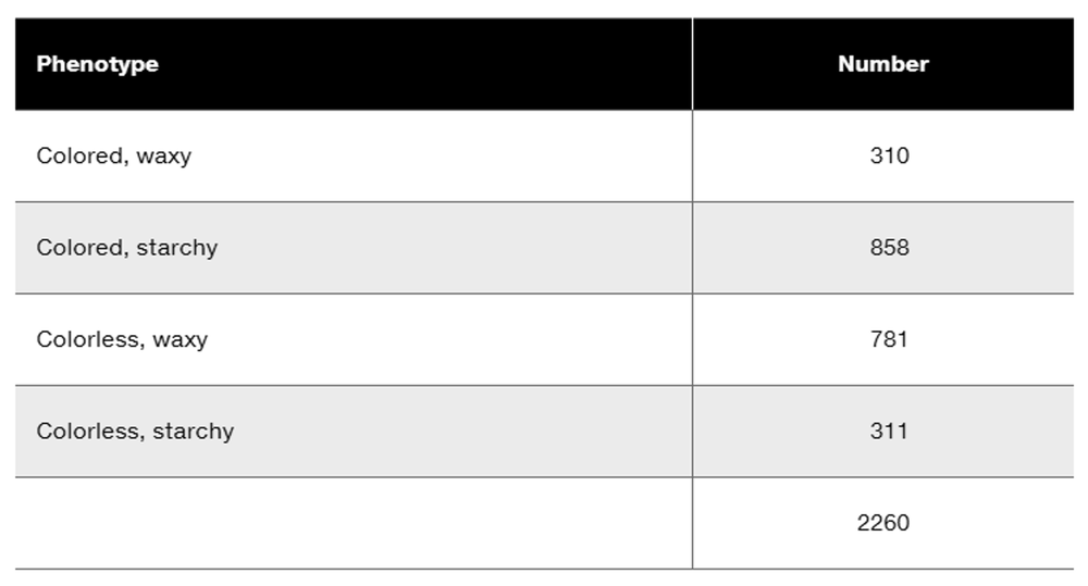 Table displaying phenotypes and their corresponding numbers from genetic experiments on corn.