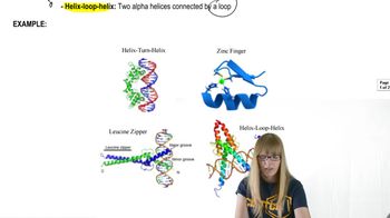Review of Regulation