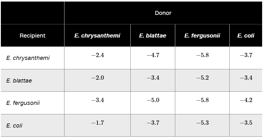 Table showing log10 rates of plasmid transfer between four Escherichia species as donors and recipients, with varying transfer efficiencies.