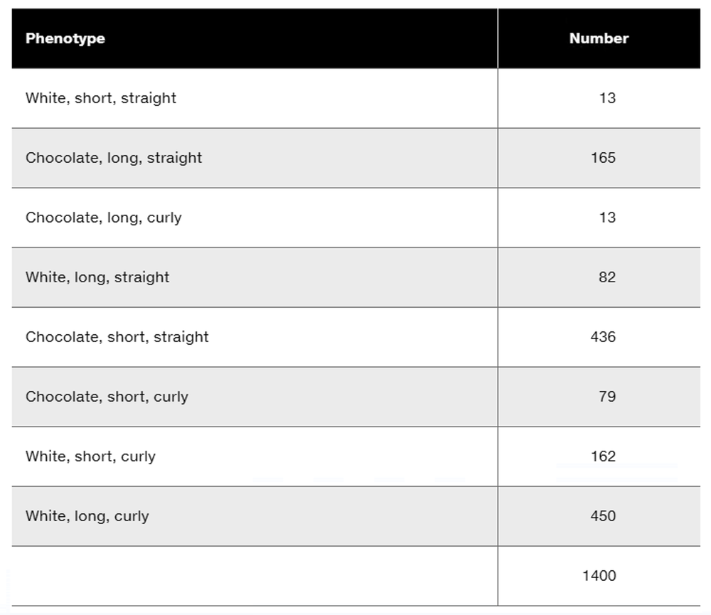 Table displaying phenotypes and their corresponding numbers for a trihybrid rabbit cross.