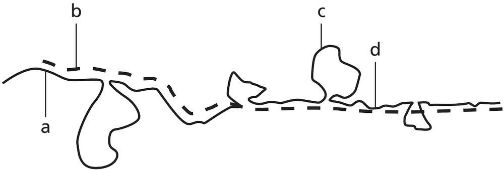 Electron micrograph showing hybridization of single-stranded DNA and mRNA, indicating introns and exons in mouse DNA.