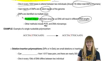 Genomic Variation