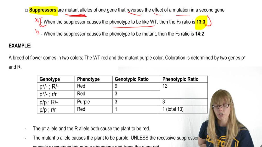 Other Gene Interactions