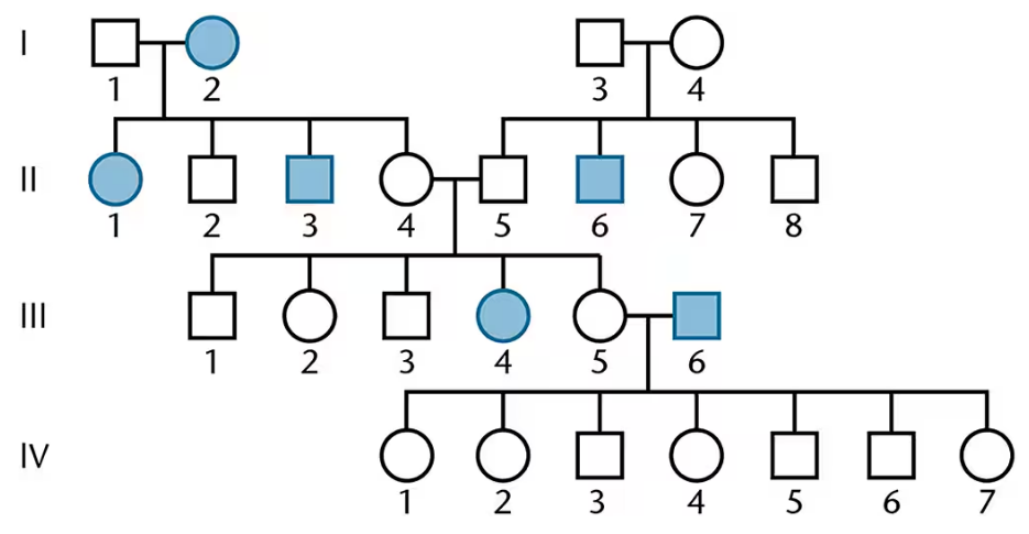 Pedigree chart showing four generations with affected males and females marked by filled blue squares and circles.