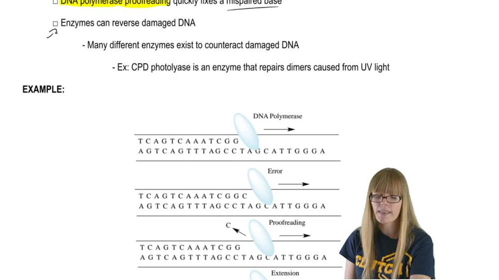 DNA Proofreading