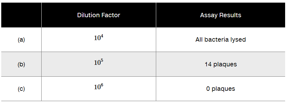 Table showing dilution factors 10^4 to 10^6 with assay results from all bacteria lysed to 14 and 0 plaques.