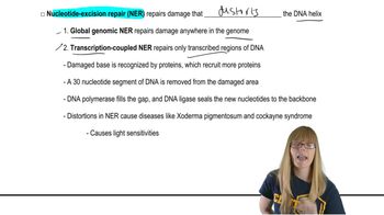Repair Pathways