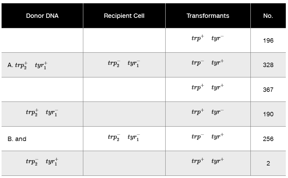 Table showing donor DNA, recipient cell genotypes, transformants, and their counts for bacterial gene linkage analysis.