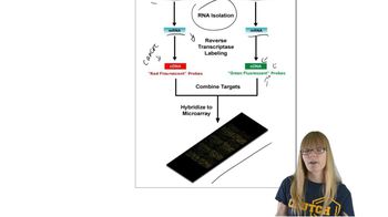 Functional Genomics