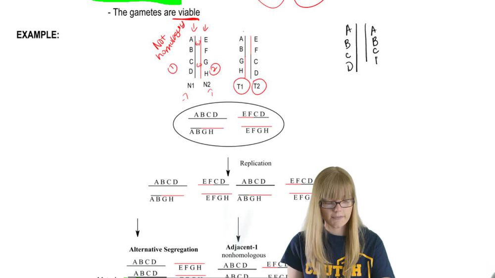 Reciprocal Translocation