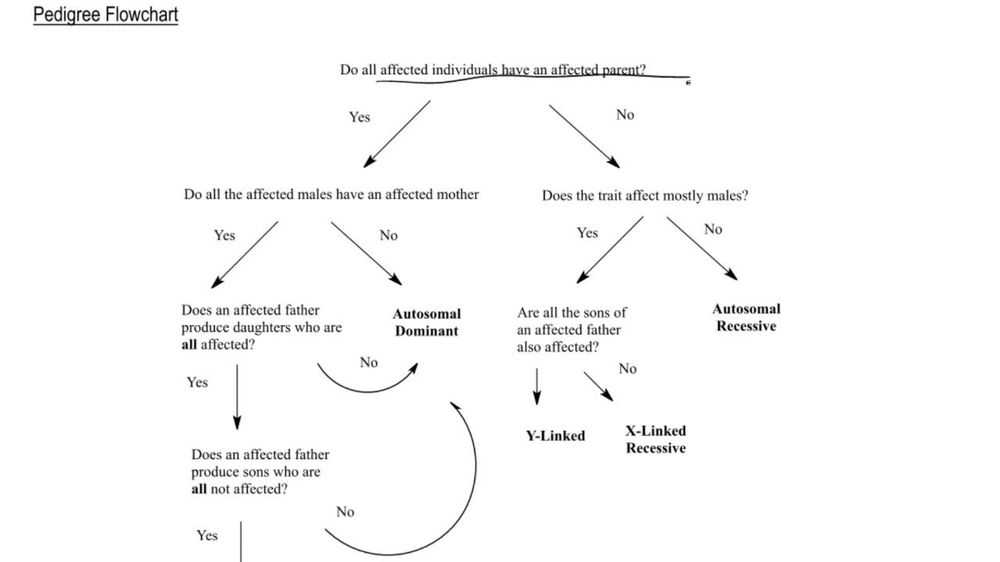 Pedigree Flowchart