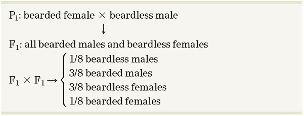 Diagram showing inheritance of beard trait in goats: P1 bearded female × beardless male, F1 all bearded males and beardless females, F2 with varied beard presence ratios.