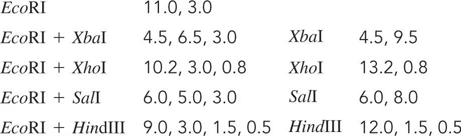 Table displaying restriction enzyme digestion results for the CRABS CLAW gene, including fragment sizes in kilobases.