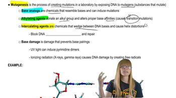 Induced Mutations