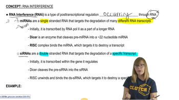 RNA Interference