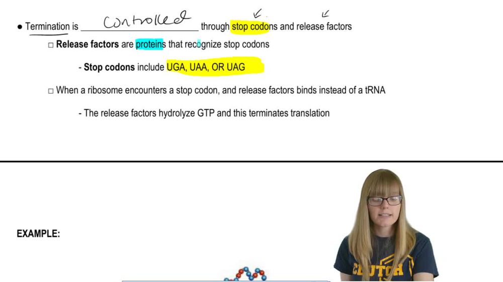 Translation Termination