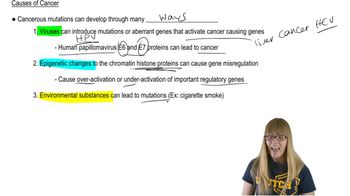 Cancer Causes