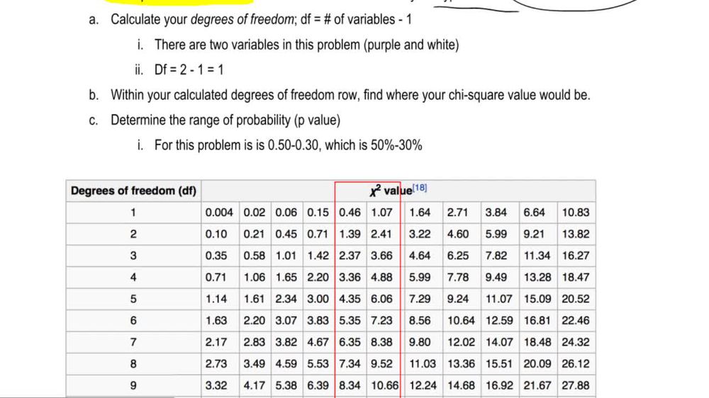 Chi Square Analysis