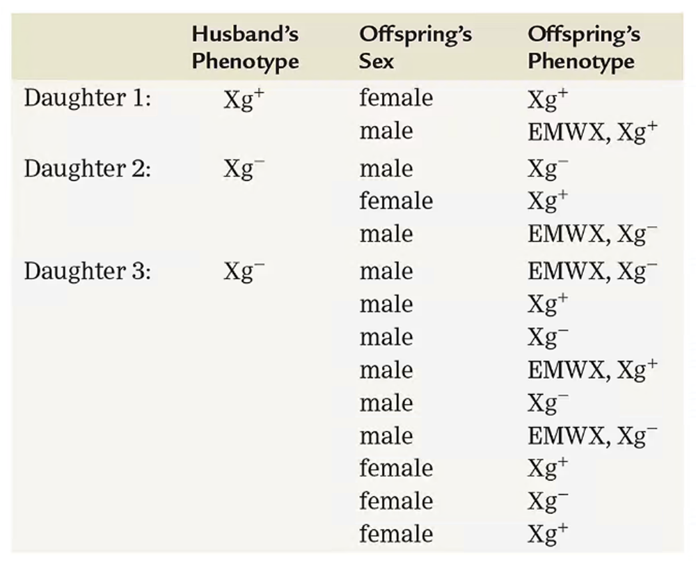 Table showing husband’s phenotype, offspring sex, and offspring phenotype for three daughters and their children with Xg and EMWX traits.