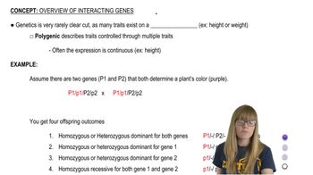 Interacting Genes Overview