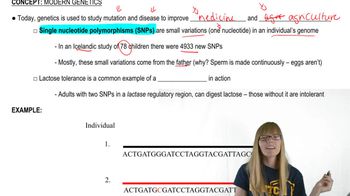 Modern Genetics
