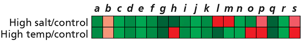 Microarray results showing gene expression changes in S. cerevisiae under high salt and high temperature conditions.