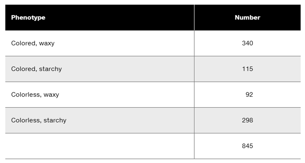 Table displaying phenotypes and their corresponding numbers from genetic experiments on corn.