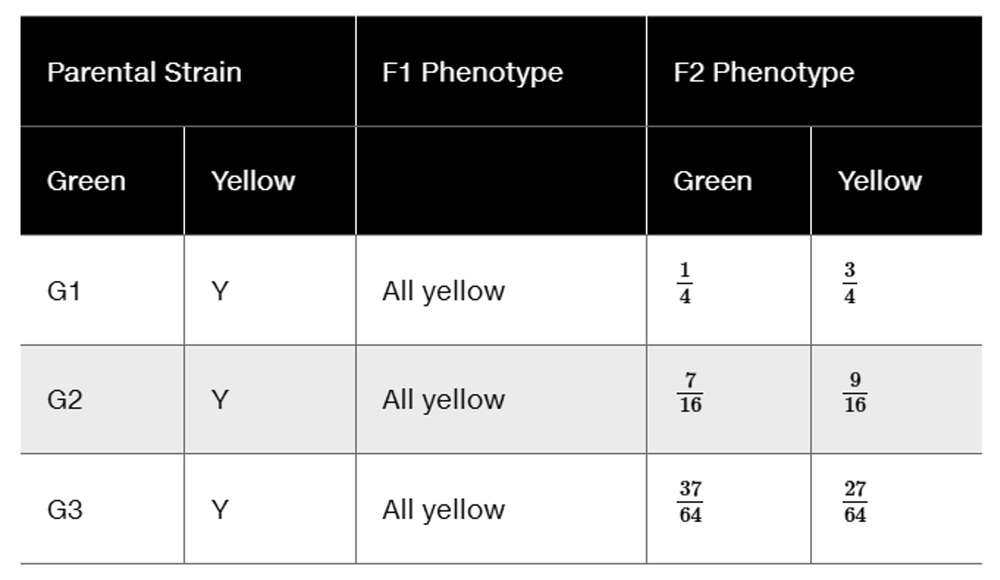 Table showing parental strains of green and yellow lentil plants, F1 and F2 phenotypes with respective proportions.