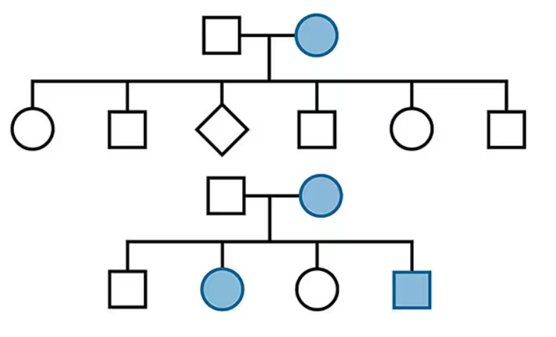 Pedigree chart showing affected females and males across two generations with some individuals shaded blue.