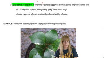 Organelle Inheritance