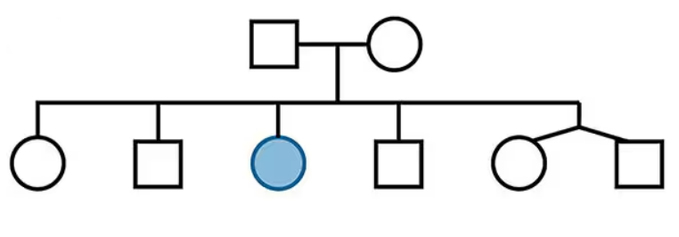 Pedigree chart showing two generations with one affected female indicated by a filled circle among unaffected family members.