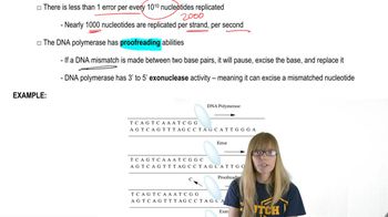 Proofreading