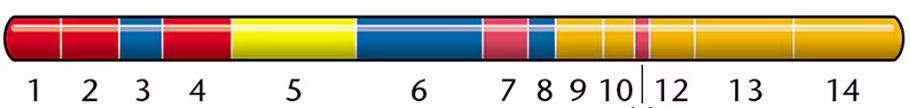 Color-coded map of 14 mutated tra1 gene regions showing their impact on R27 plasmid conjugation transfer frequency.